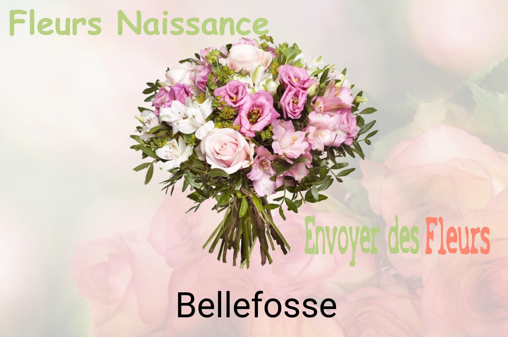 Bouquet de fleurs de naissance livré à Bellefosse